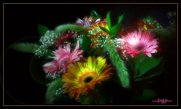 http://krasota-gif.narod.ru/s/flowers/116.gif