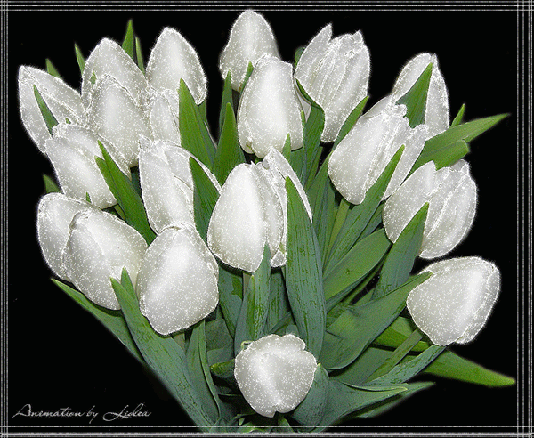 http://krasota-gif.narod.ru/s/flowers/75.gif